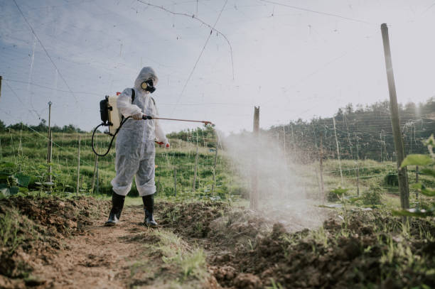 Best Local Pest Control Services  in Williamsport, OH