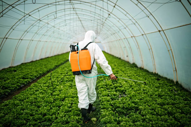 Best Best Pest Control Companies  in Williamsport, OH