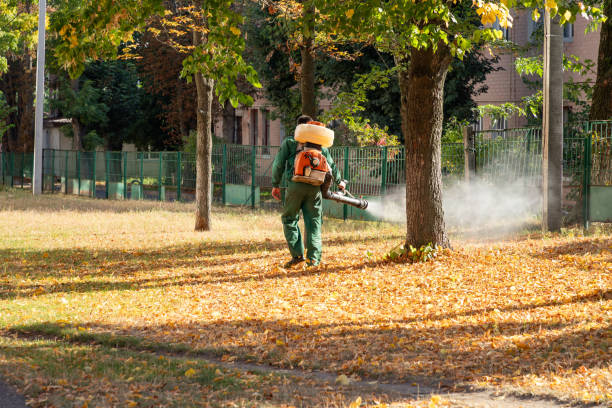 Best Pest Prevention Services  in Williamsport, OH