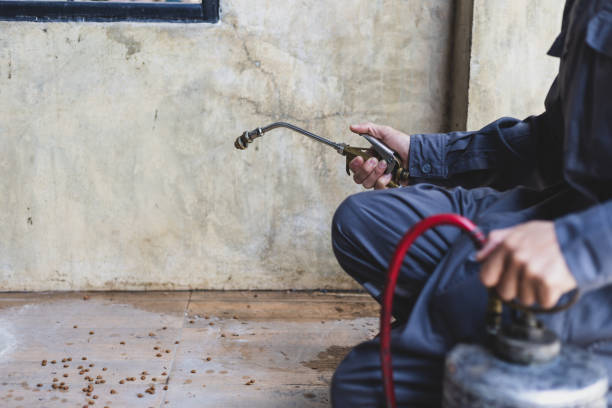 Best Exterminator Services  in Williamsport, OH